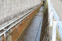 IMG_8072