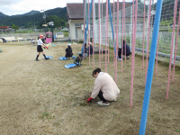 RIMG0532