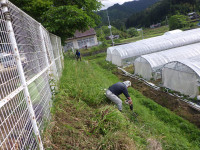 RIMG0540