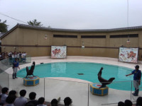 IMG_20260528_153803