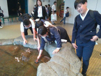 IMG_20260528_161453