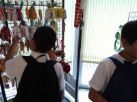 IMG_20260529_141333