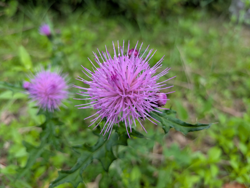 PXL_20260618_221538812