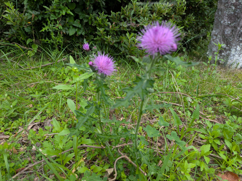 PXL_20260618_221532695