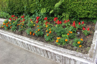 IMG_6211