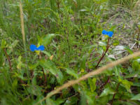 PXL_20260618_223304993