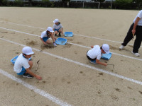 IMG_1622
