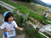 DSC00260
