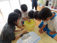 DSC00267