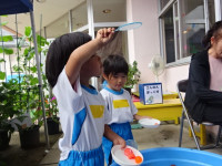 DSC06967