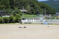 IMG_2587