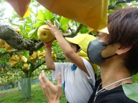 DSC07785