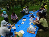 DSC07787