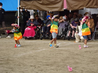 DSC00229