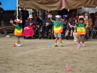 DSC00230