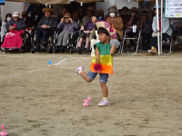 DSC00246