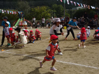 DSC00370