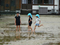 DSC08550