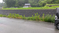 PXL_20260608_070430955