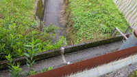 PXL_20260608_070951520